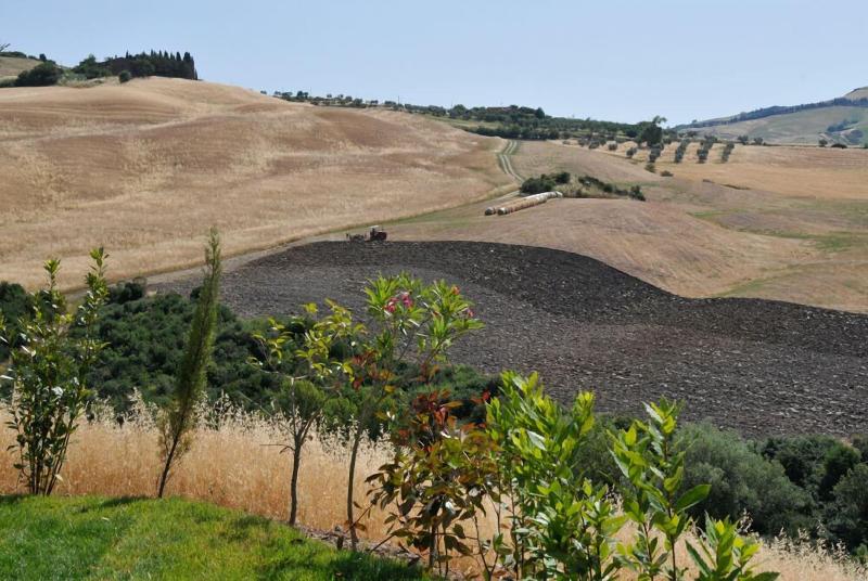 Agriturismo Mannaioni image