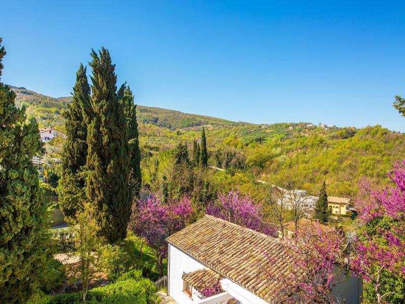 Villa Pardi image
