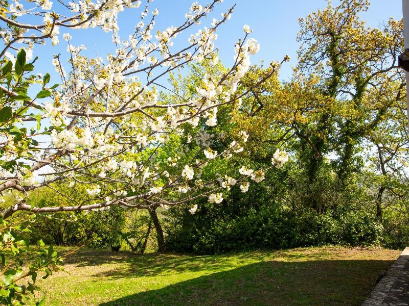 Villa Pardi image