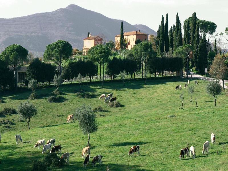 Poggiovalle Tenuta Italiana — general view