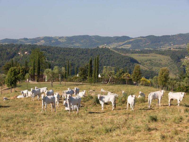 Poggiovalle Tenuta Italiana image