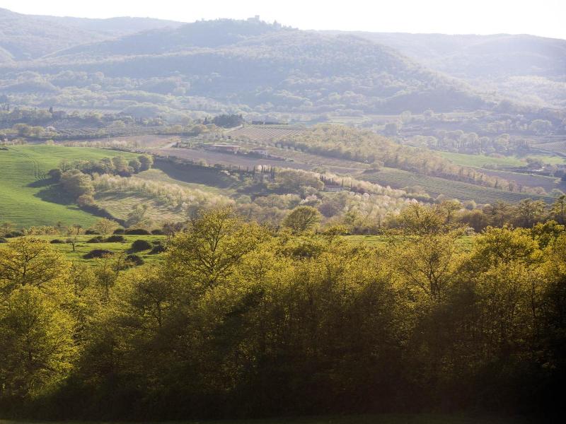 Poggiovalle Tenuta Italiana image