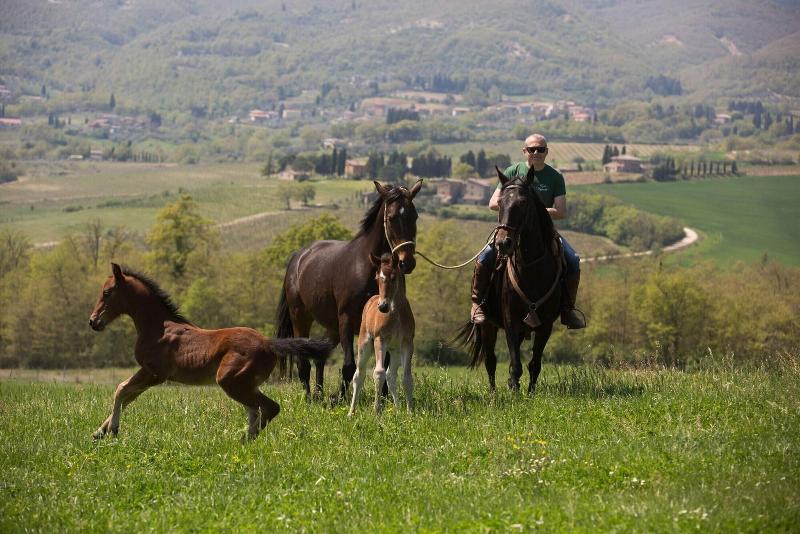 Poggiovalle Tenuta Italiana image
