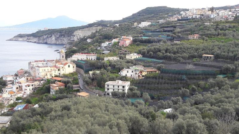 Agriturismo La Lobra image