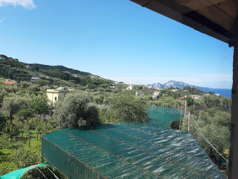 Agriturismo La Lobra image