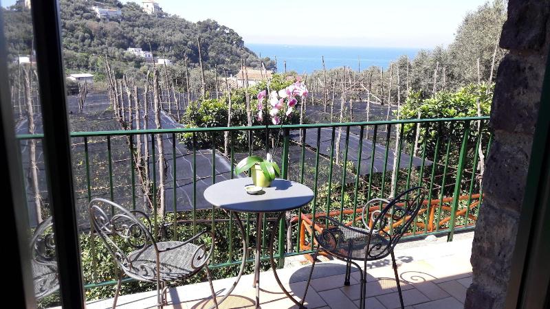 Agriturismo La Lobra image