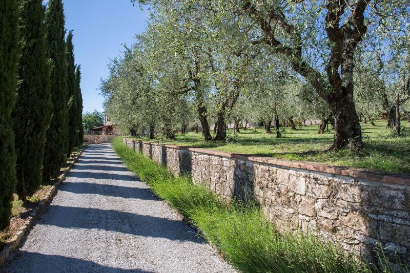 Agriturismo Borghetto Il Montino image