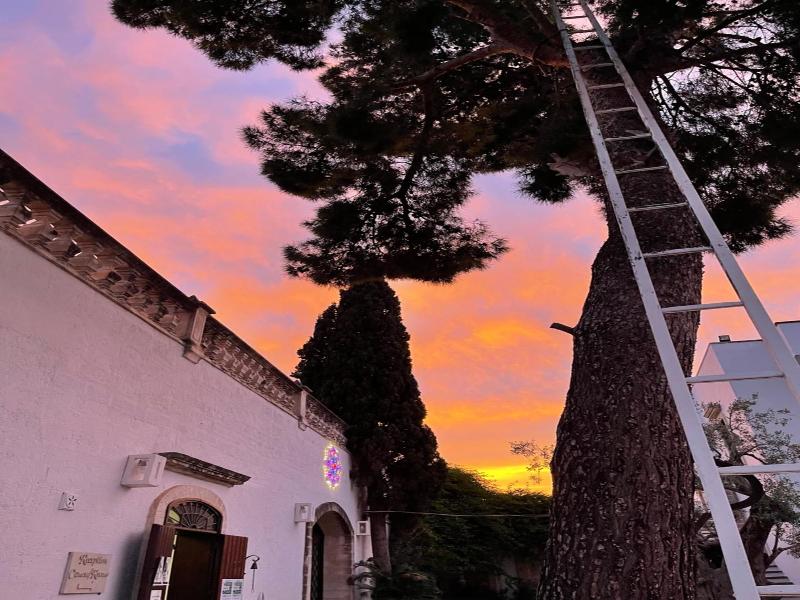 Masseria Don Sante image