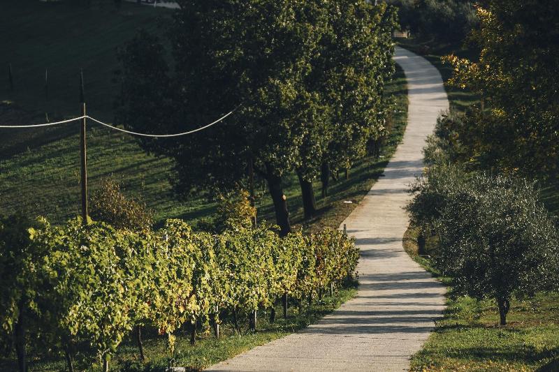 Agriturismo Acetaia Sereni image