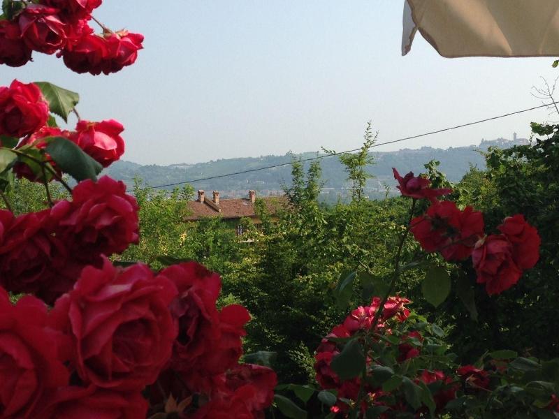 Agriturismo La Ca' D'Olga image