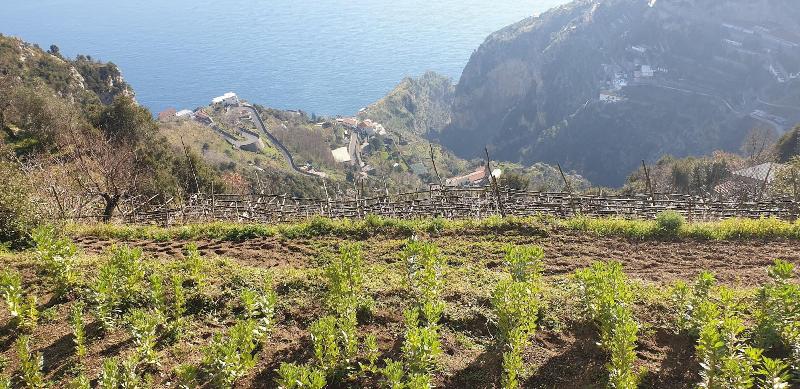 Agriturismo Mare e Monti image
