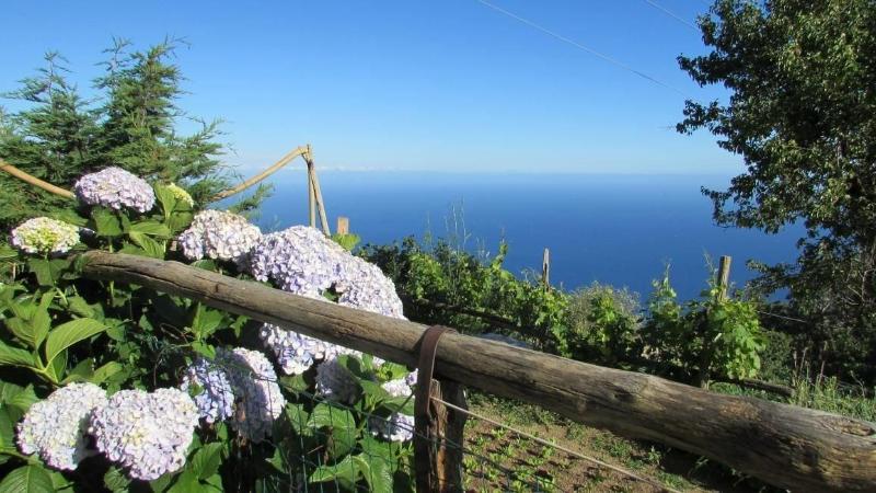 Agriturismo Mare e Monti image