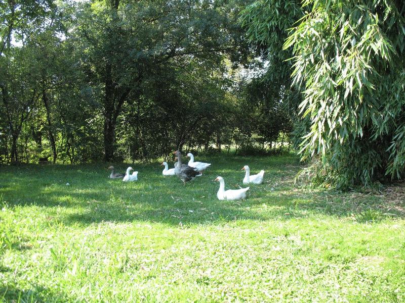Campo di Cielo image
