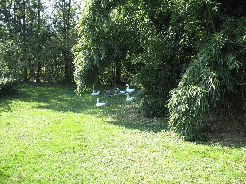 Campo di Cielo — general view