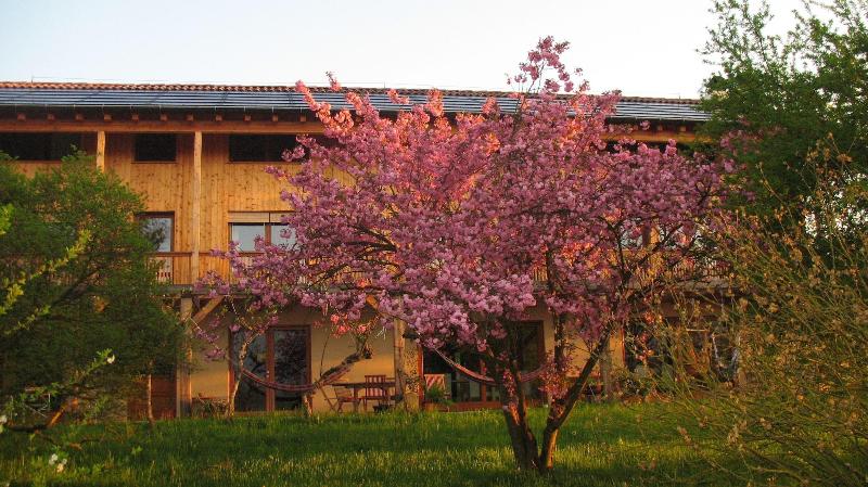 Campo di Cielo image