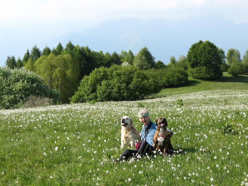 Campo di Cielo image