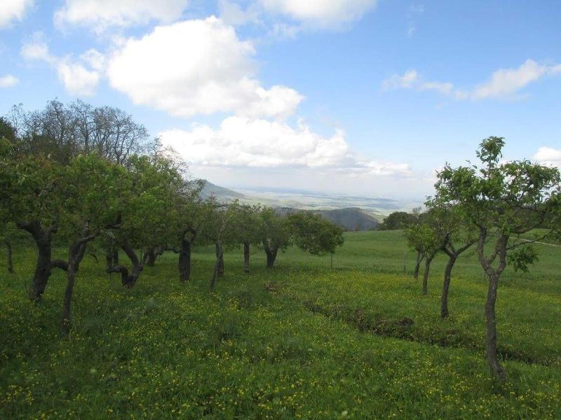Masseria Salecchia image