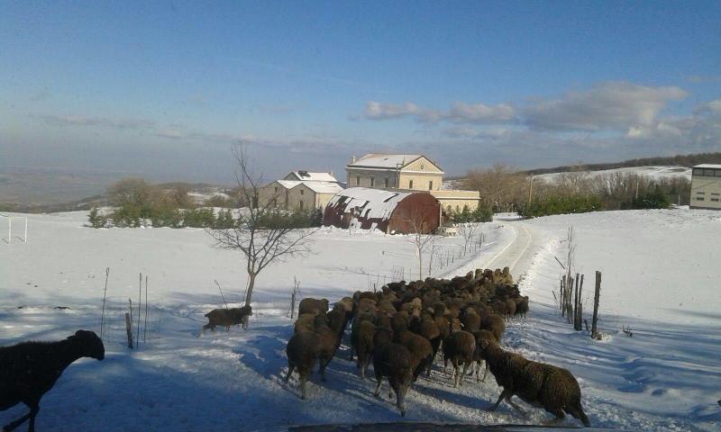 Masseria Salecchia image