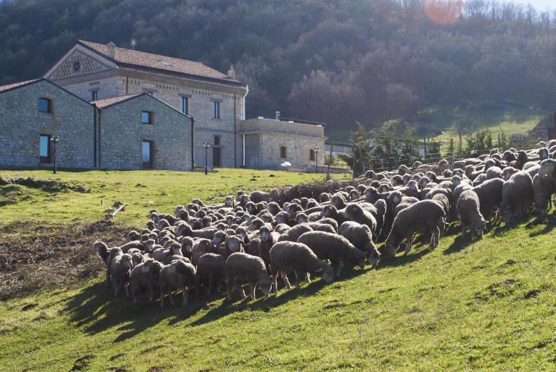 Masseria Salecchia image