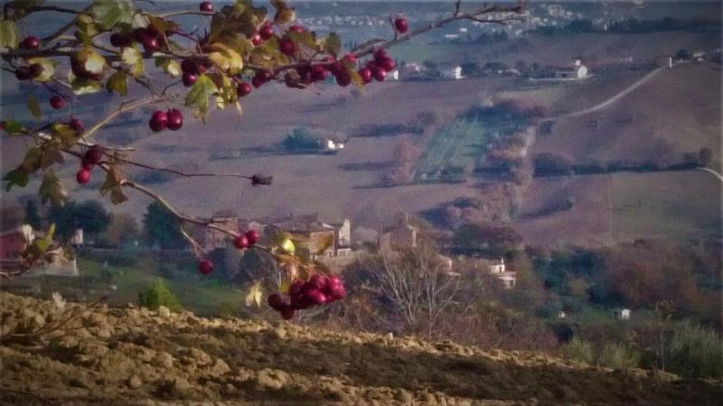 Casale Civetta image