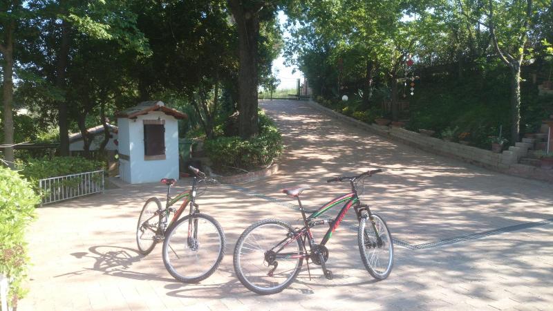 Casale Civetta image