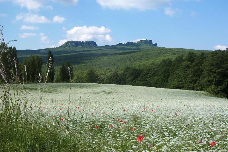 Casale Civetta image