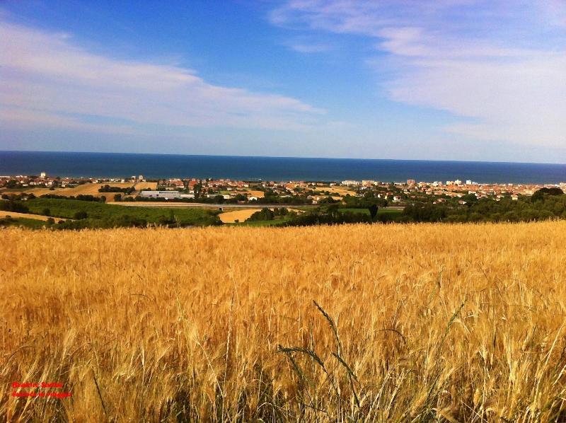 Casale Civetta image