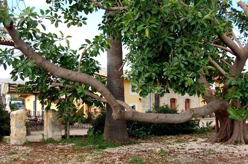 Il Giardino del sole image