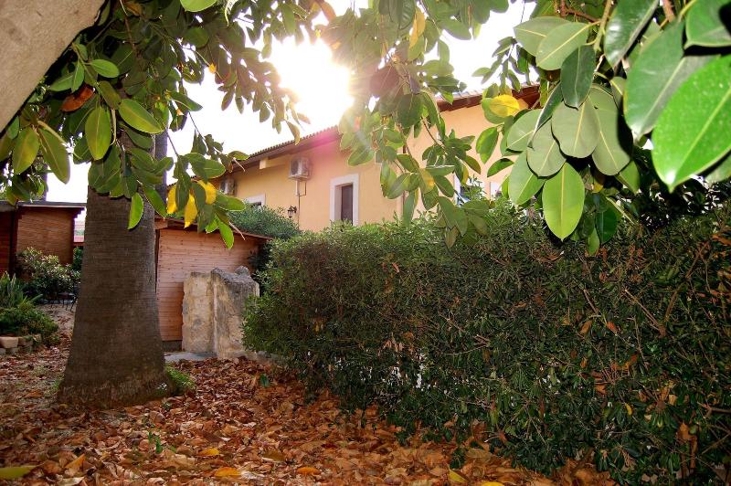 Il Giardino del sole image