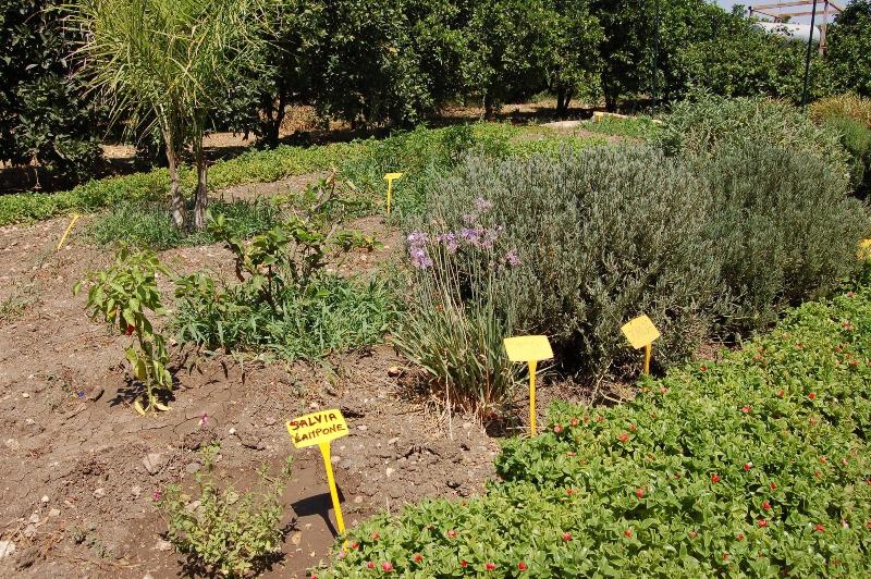 Il Giardino del sole image