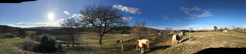 Podere Calledro image