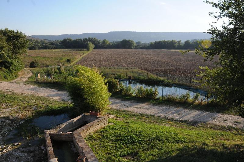 Podere Calledro image