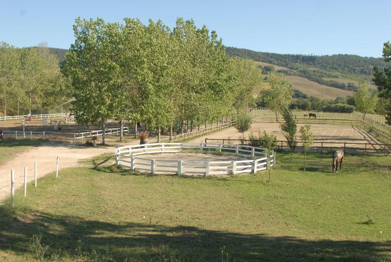 Podere Calledro image