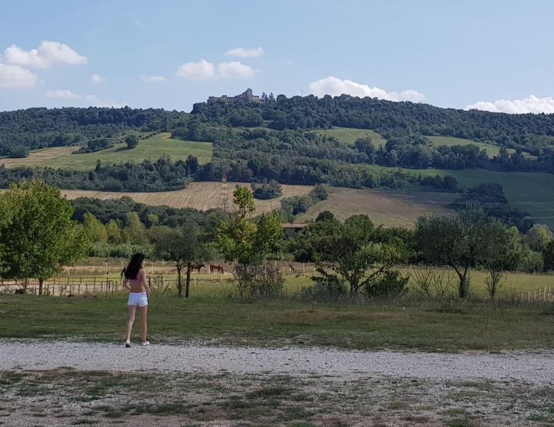 Podere Calledro image