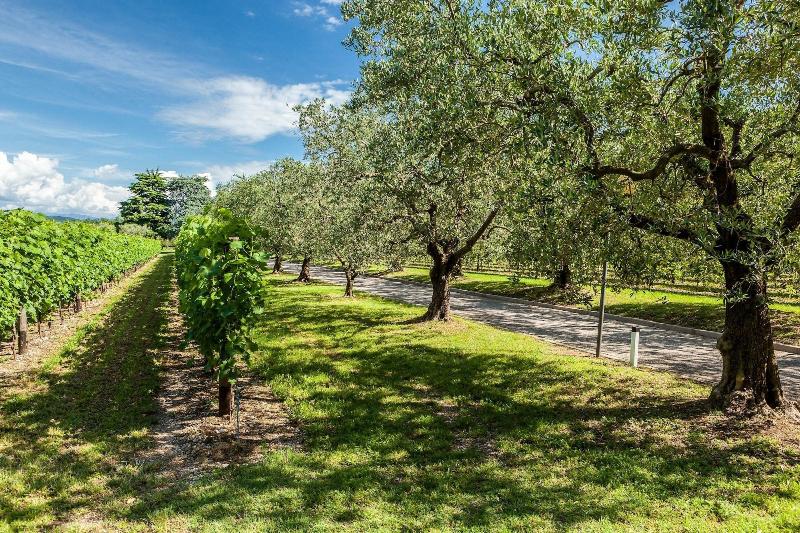 Quercia Belvedere Relais image