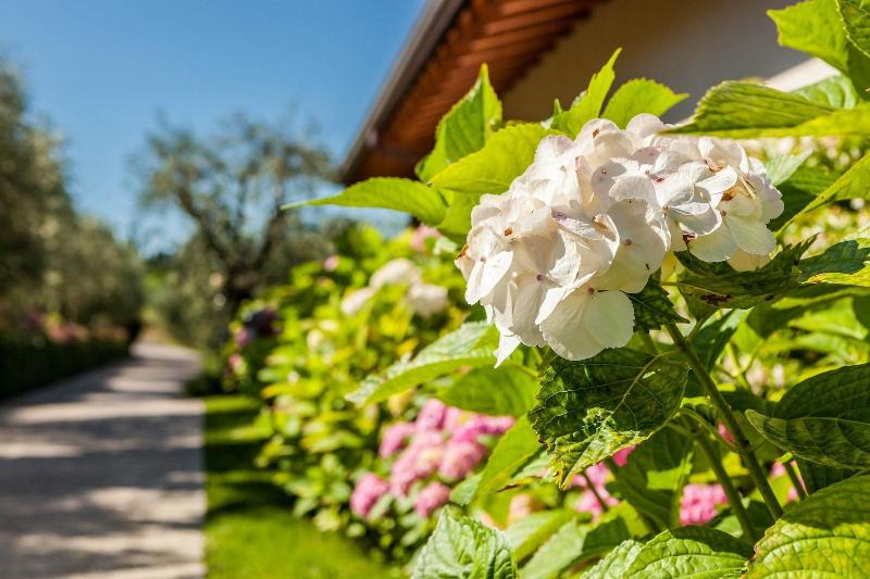 Quercia Belvedere Relais image