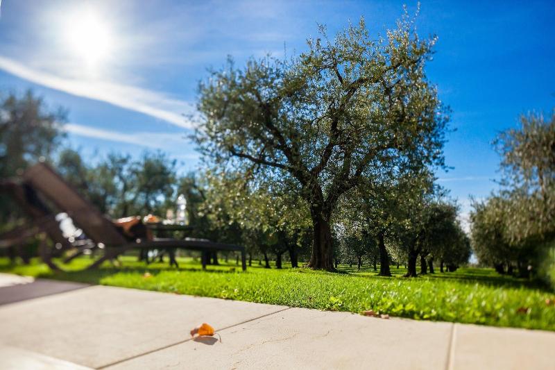 Quercia Belvedere Relais image
