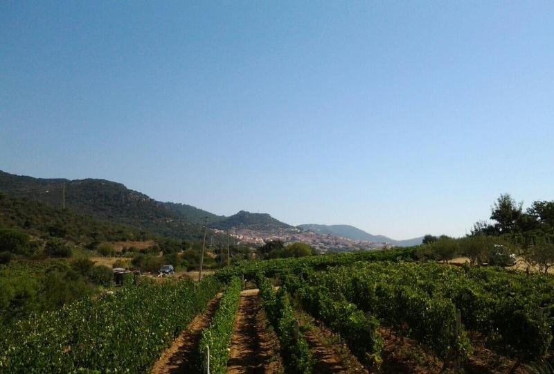 Agriturismo B&B Domo De Resteblas image