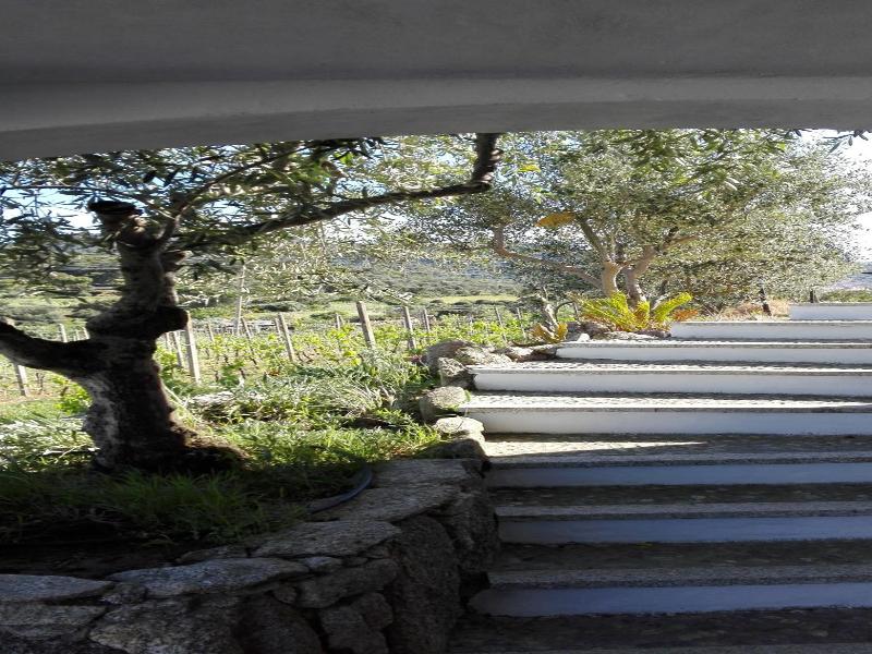 Agriturismo B&B Domo De Resteblas image