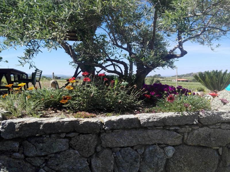 Agriturismo B&B Domo De Resteblas image