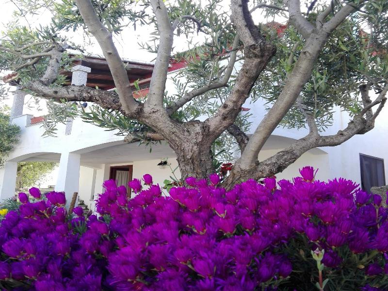 Agriturismo B&B Domo De Resteblas image