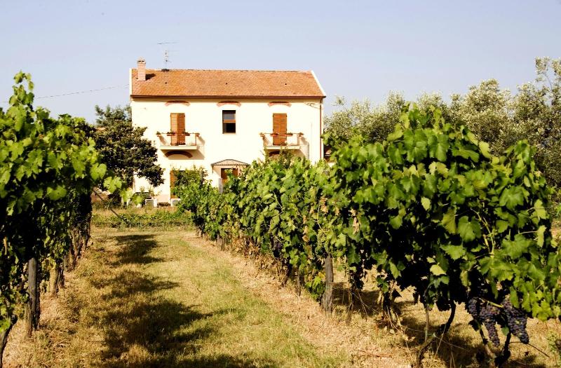 Agriturismo La pulledraia image