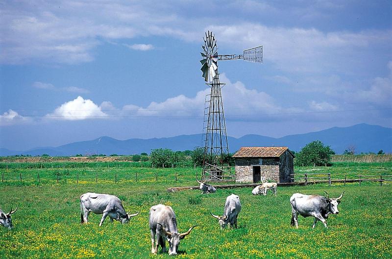 Agriturismo La pulledraia image