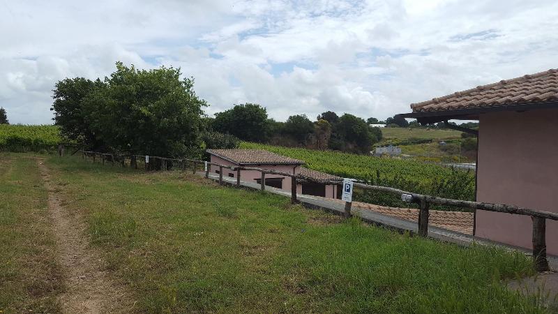 Azienda Agricola Sinisi image