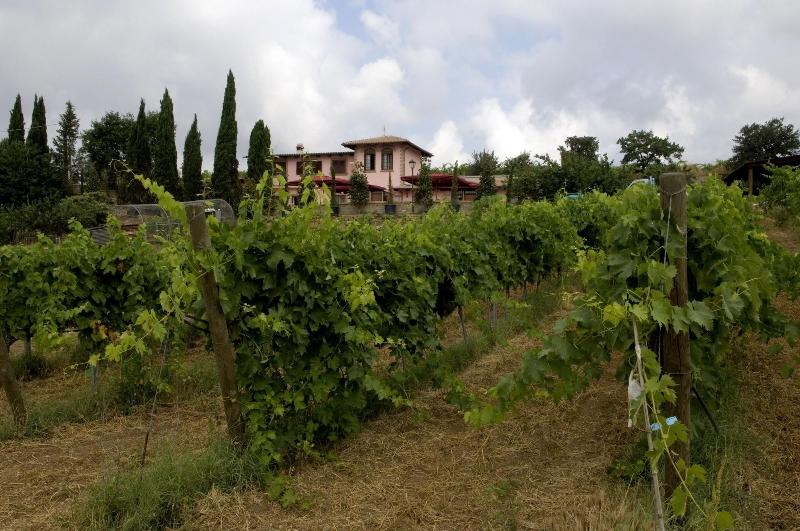 Azienda Agricola Sinisi image