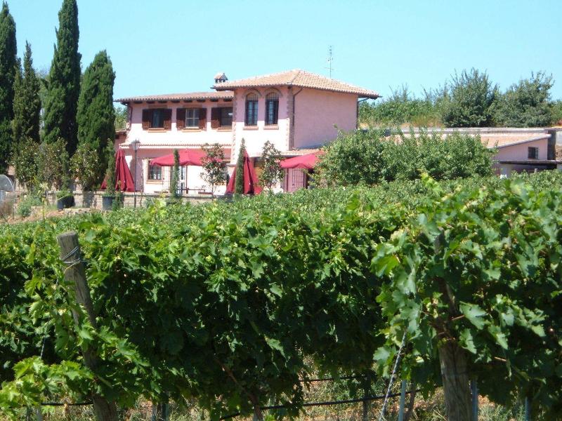 Azienda Agricola Sinisi image