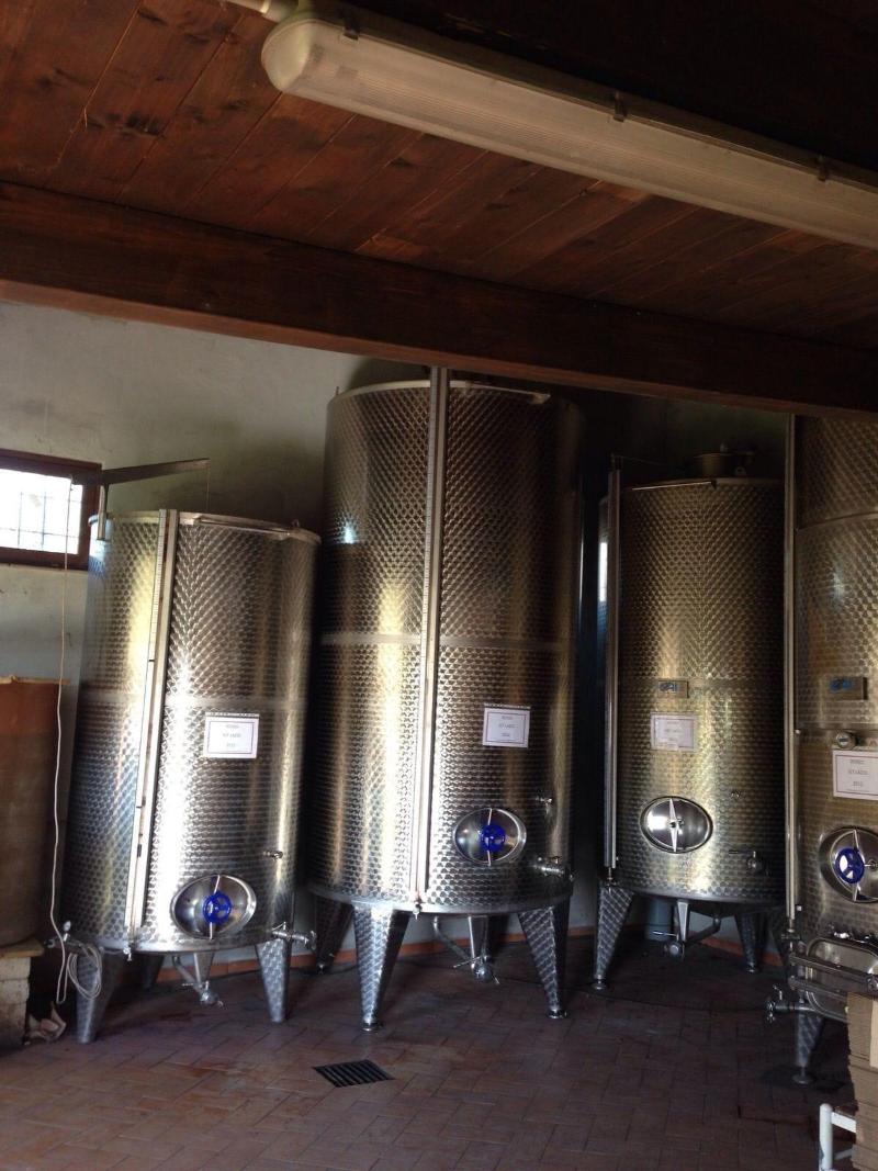 Azienda Agricola Sinisi image