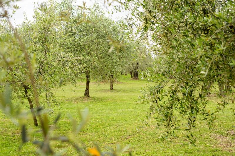 Tenuta Torre Rossa Farm & Apartments image
