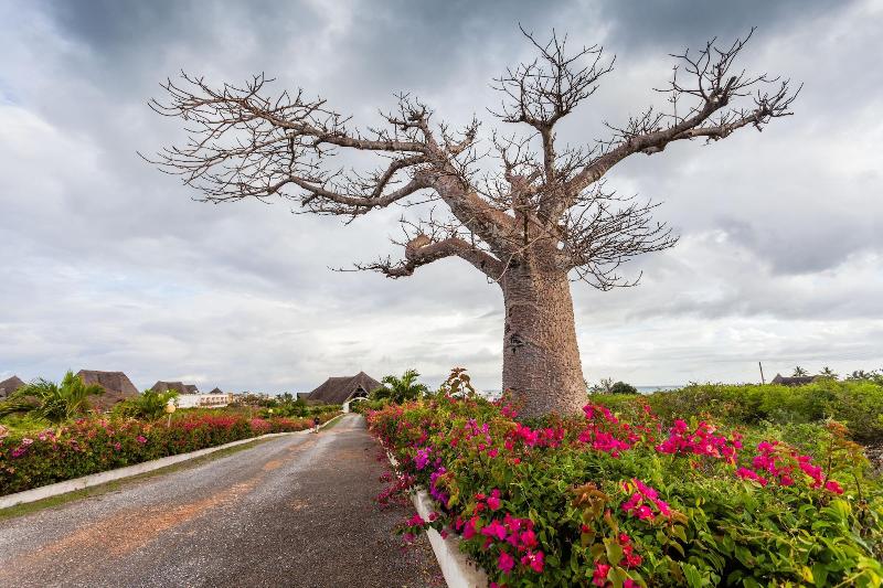 Twiga Beach Resort & Spa image