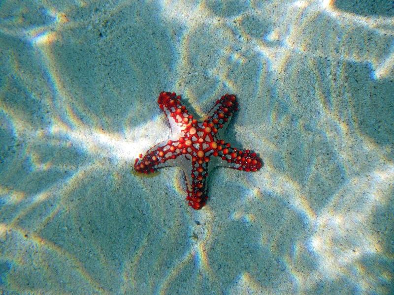 Twiga Beach Resort & Spa image